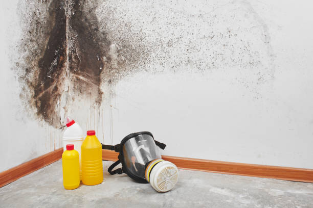 Best Crawl Space Mold Removal  in Schwenksville, PA