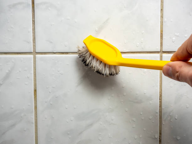 Best Same-Day Mold Removal  in Schwenksville, PA