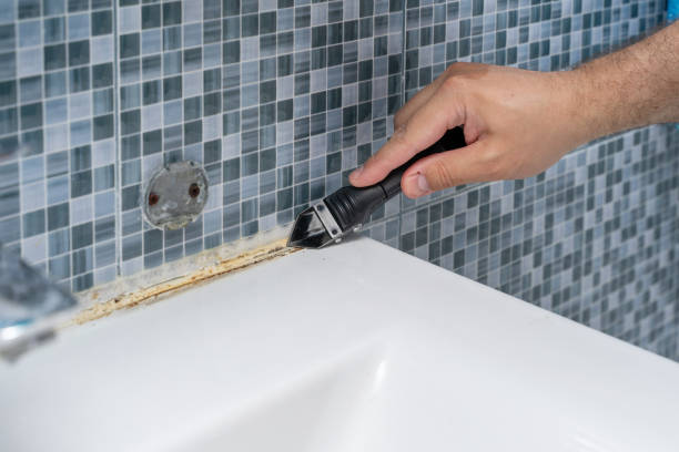 Best Professional Mold Removal  in Schwenksville, PA